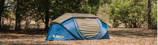 Which is the Best Pop Up Tent in 2024?