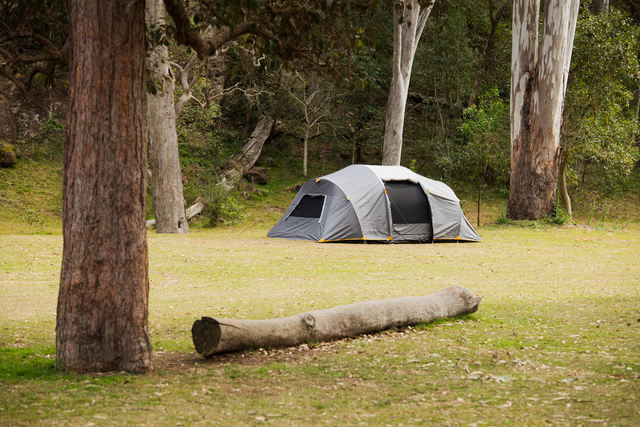 Genesis II 9P Dome Tent